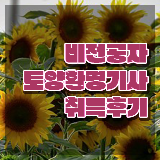  토양환경기사 자격요건 토양환경기사 시험응시조건 온라인 과정으로 5개월 만에 성공한 전략