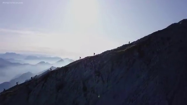  서면퍼스널컬러내돈내산 , 퍼스널컬러컨설턴트 집에서 온라인으로 끝내는 팁