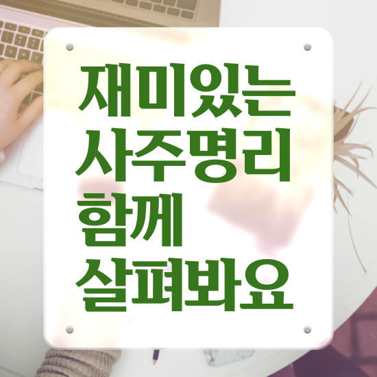  사주 풀이 , 심리상담사 자격증 준비한 과정 정보 가득