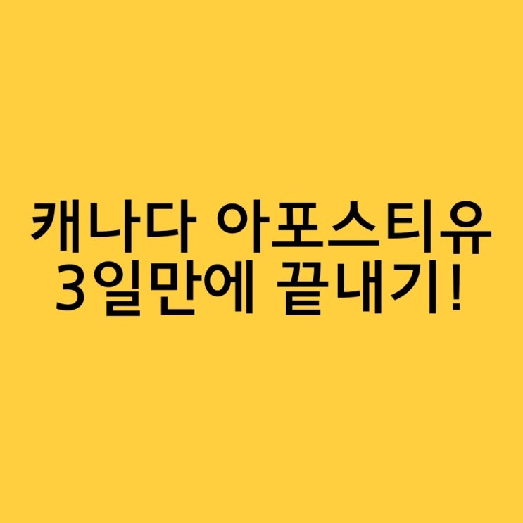 캐나다 성적표,디플로마 아포스티유 한번에끝내기!