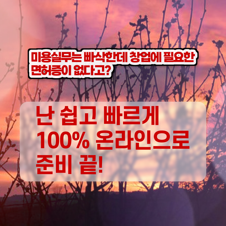  헤어디자이너 대학 , 종합미용자격증 7개월 만에 취득하고 취직까지 성공