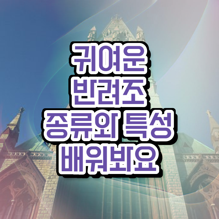  , 반려조관리사 자격증 합격한 팁 공유드려요