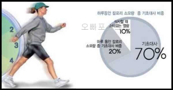  건강한 여자 다이어트 식단 만들기: 365일 다이어트의 주인공 여러분을 위한 3가지 방법!