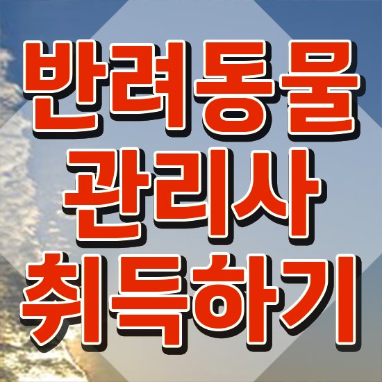  40대경단녀취업 , 반려동물관리사 자격증 비용없이 온라인으로 취득한 과정 궁금증 해결