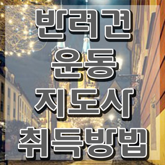  동물보건사 대학 , 반려견운동지도사 온라인으로 준비하는 후기