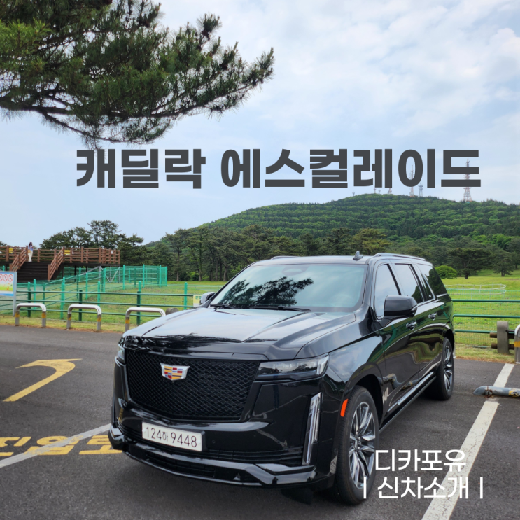  캐딜락 에스컬레이드 ESV 시승기 in 제주