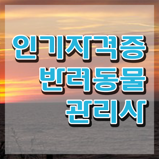  반려동물 등록 외장칩 , 반려동물관리사 자격증 직장인도 쉽게 취득한 방법 총 정리