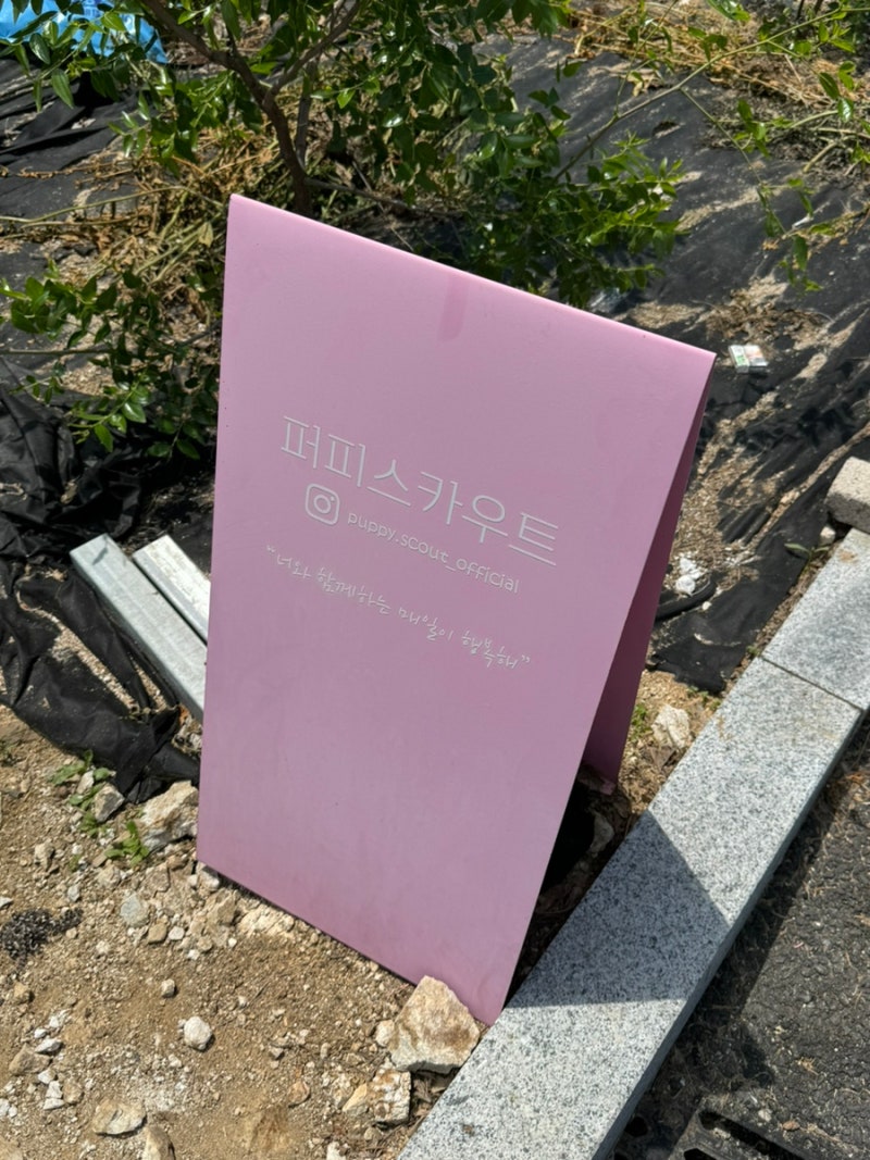 사진 7
