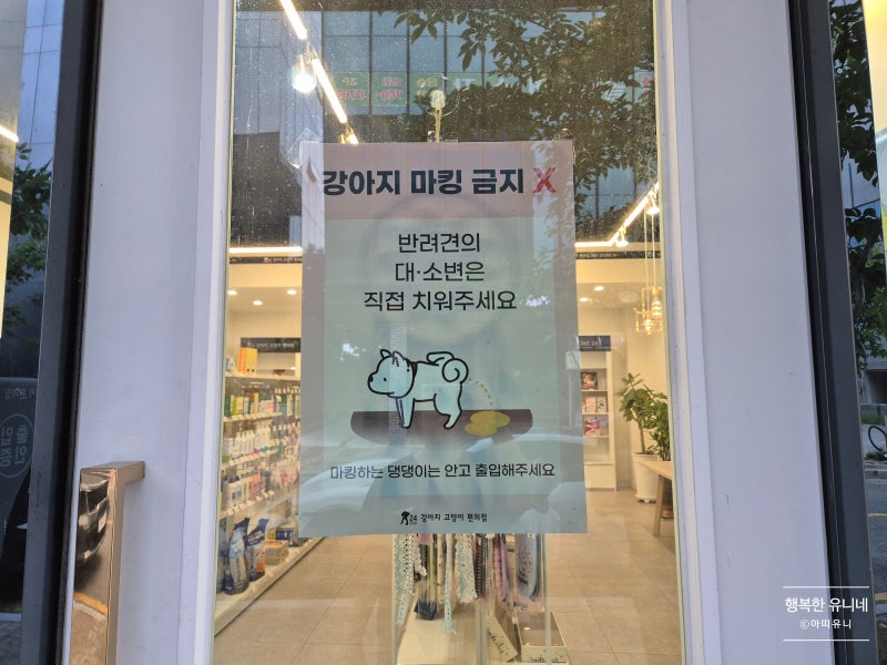 사진 10