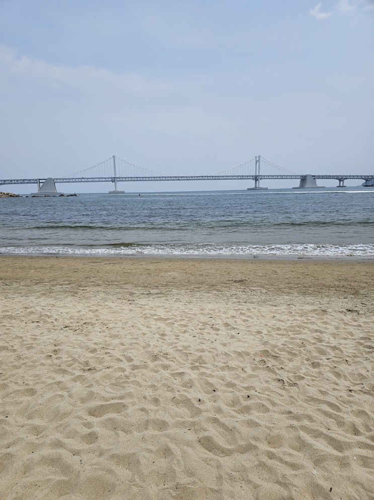 안녕하세요블로거마롱입니다부산은제가영화로도자주찾는도시... 