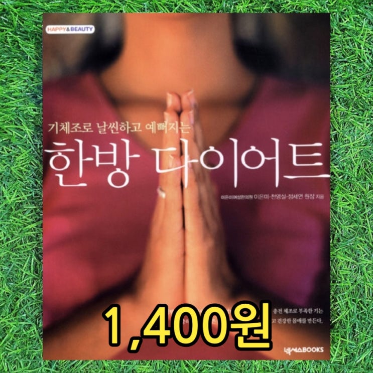  한방 다이어트 기체조로 날씬하고 예뻐지는 1,400원 기 충전 체조 12개 경락 365개 경혈 이은미 정세연 원장 한방재료 한방목욕 한방팩 한방차 책