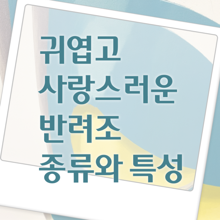  애완조 , 반려조관리사 자격증 1급,2급 동시에 합격한 팁 콕콕 짚어드립니다