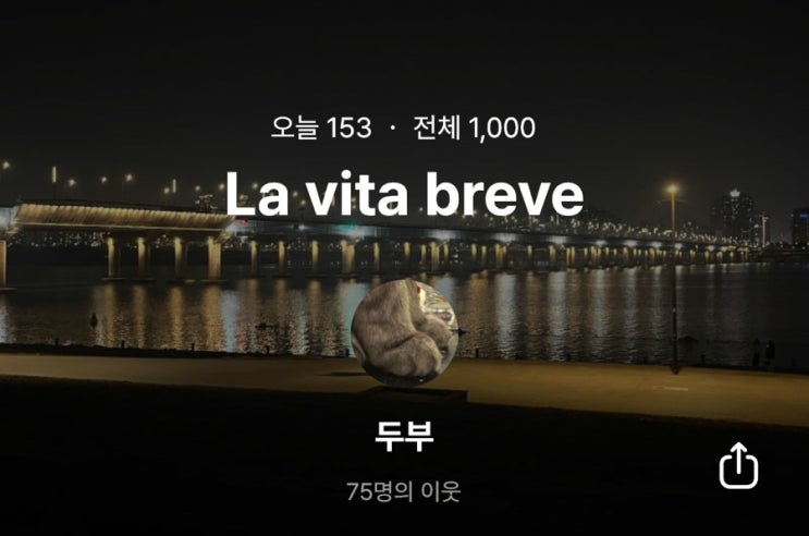  블로그가 재밌는 2주차 블린이 방문자 수