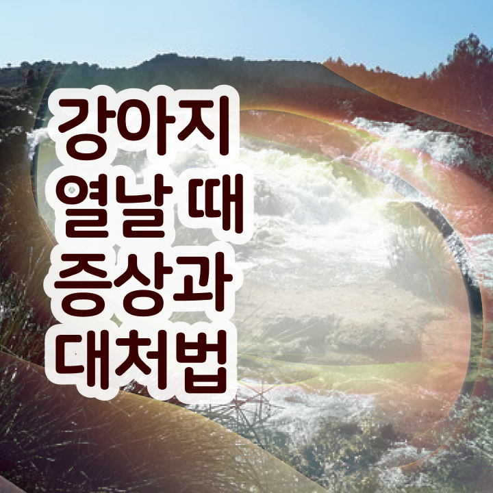  반려동물관리사 시험 , 반려동물관리사 자격증 쉽고 빠르게 취득한 정보 , 전망