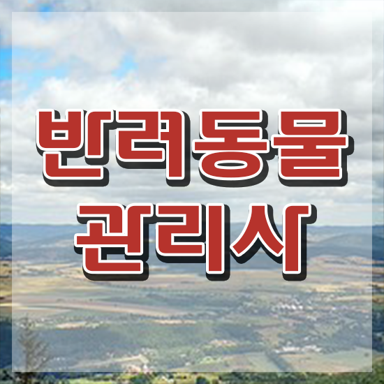  40대주부자격증 , 반려동물관리사 자격증 취득한 과정 알려드려요