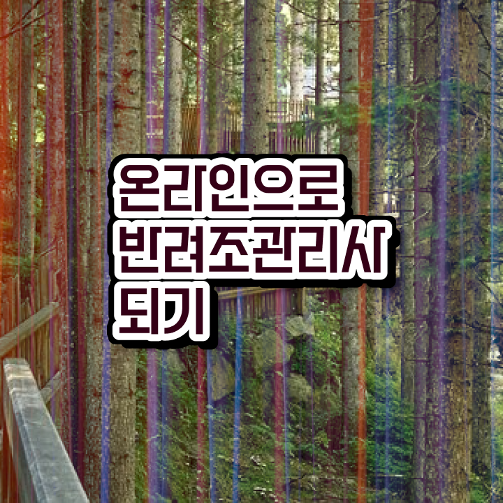  아마존앵무새분양 , 반려조관리사 자격증 시험준비 정보 모두 드려요