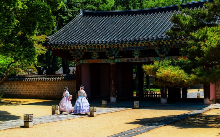  비자(사증) 발급이 거부되었을 때, 다툴수 있는 방법에 대하여(특별해제, 행정소송)