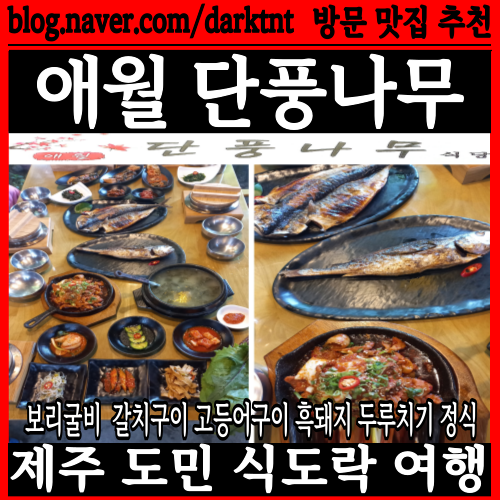 엘리시안 제주 골프장 근처 맛집 애월 단풍나무 고등어 정식 추천