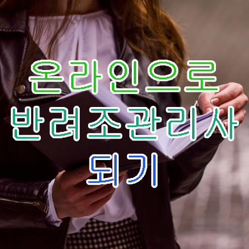  앵무새 종류 , 반려조관리사 자격증 쉽고 빠르게 준비한 과정 및 활용 방법