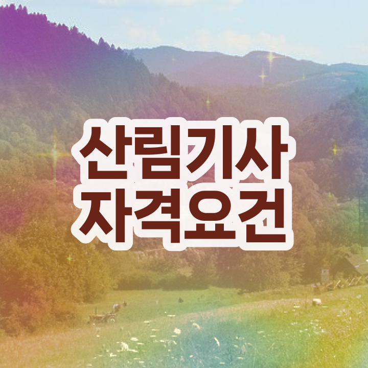  산림기사 작업형 산림기사 취득자격 집에서 온라인으로 4달만에 끝낸 과정