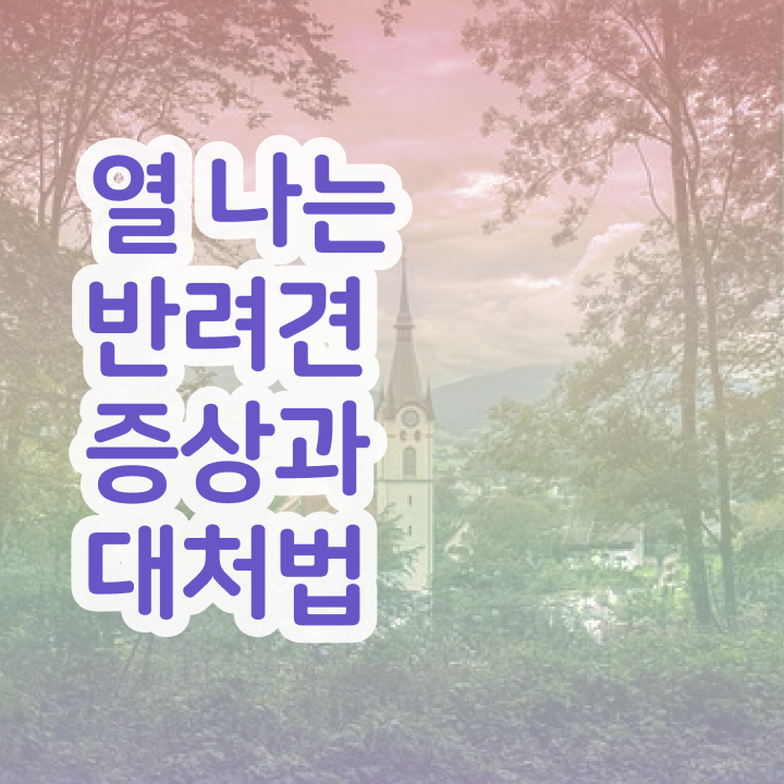  반려동물 등록 외장칩 , 반려동물관리사 자격증 합격한 비법 최신정보 공유