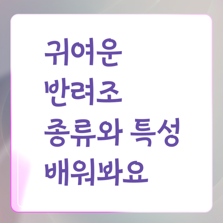  모란앵무입질 유투브 , 반려조관리사 자격증 합격한 비법 알아볼게요