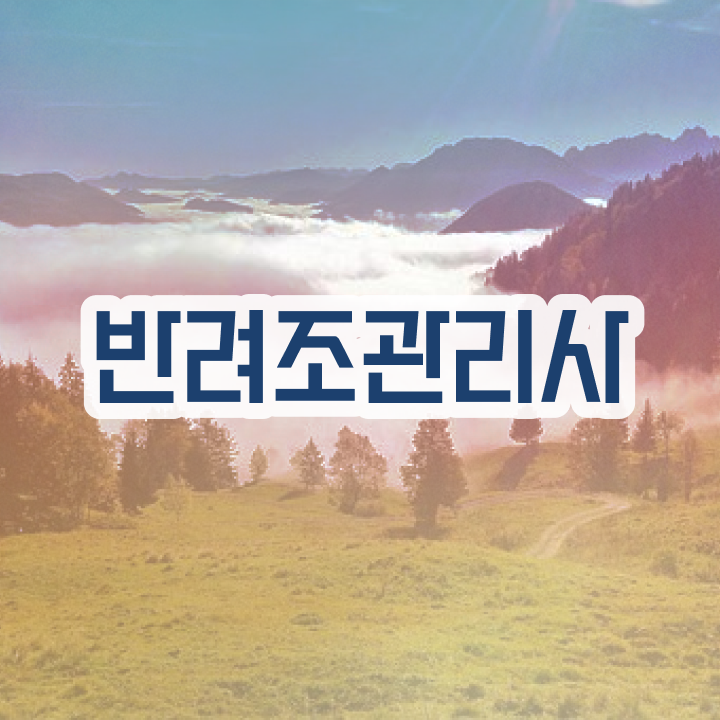  코뉴어 앵무새 가격 , 반려조관리사 자격증 합격한 비법 정보 필요하시죠