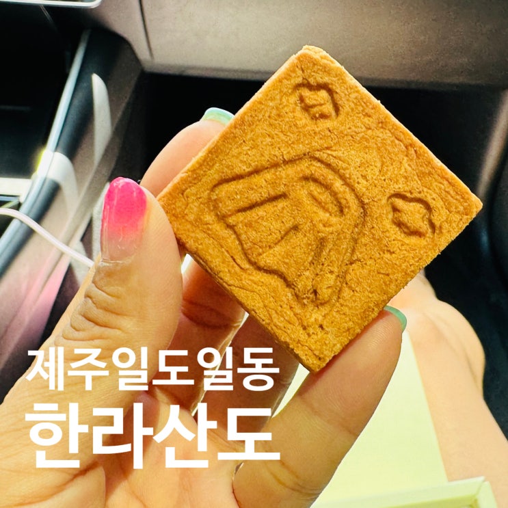 제주 기념품으로 딱! 샌드쿠키 중 최고, 한라산도 믹스
