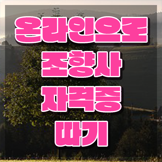  천안 조향사 자격증 , 조향사 쉽게 끝냈던 전략