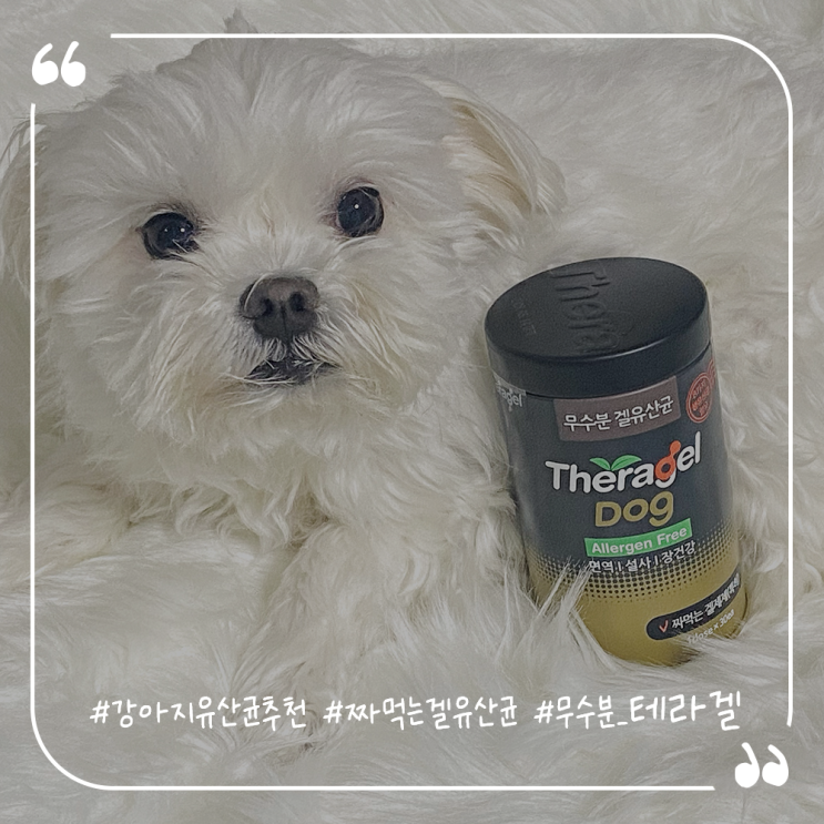  강아지유산균추천 강아지설사 짜먹는겔유산균 테라겔