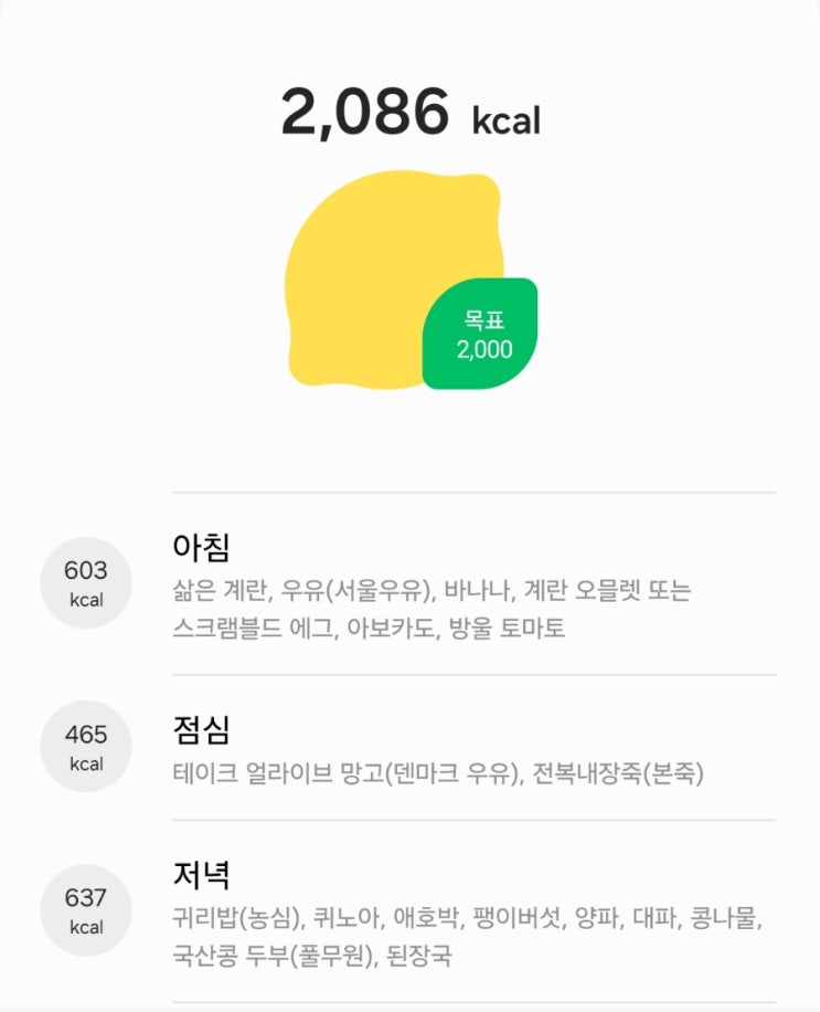  [임신일기] 임신 14주차, 벌써 빈혈이?!(임산부 철분제 복용, 칼로리 관리법)