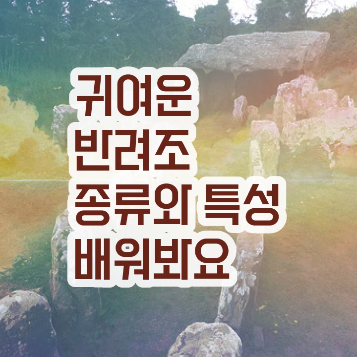  앵무새키우기 , 반려조관리사 자격증 온라인으로 쉽게 합격한 팁 준비했어요