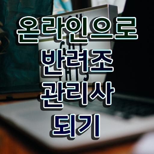  앵무새 수명 , 반려조관리사 자격증 간단하게 합격정보 및 채용 정보