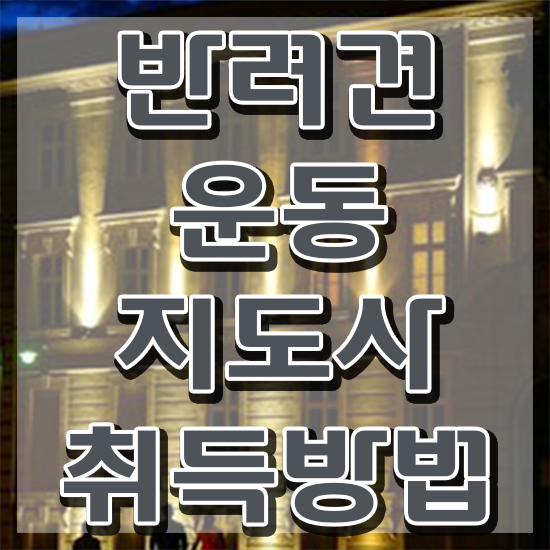  40대남자취업 한달 만에 반려견운동지도사자격증 합격 후기