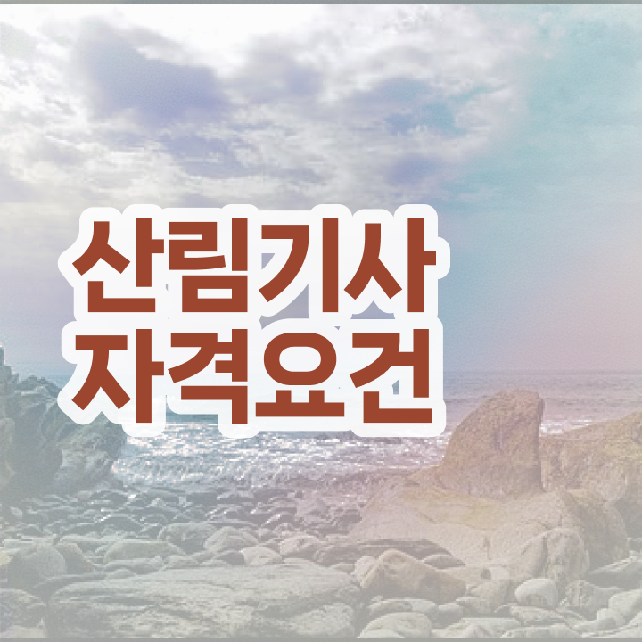  산림기사 책 이미지 산림기사 시험응시자격 온라인으로 쉽고 빠르게 준비한 전략