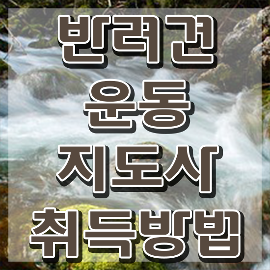  40대취업 , 반려견운동지도사자격증 공부한 방법 , 온라인 교육
