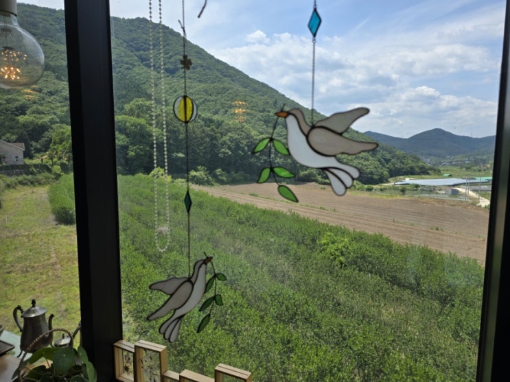  거제 카페 수국 둔덕 카페 조용한 마을에 위치한 카페 수국
