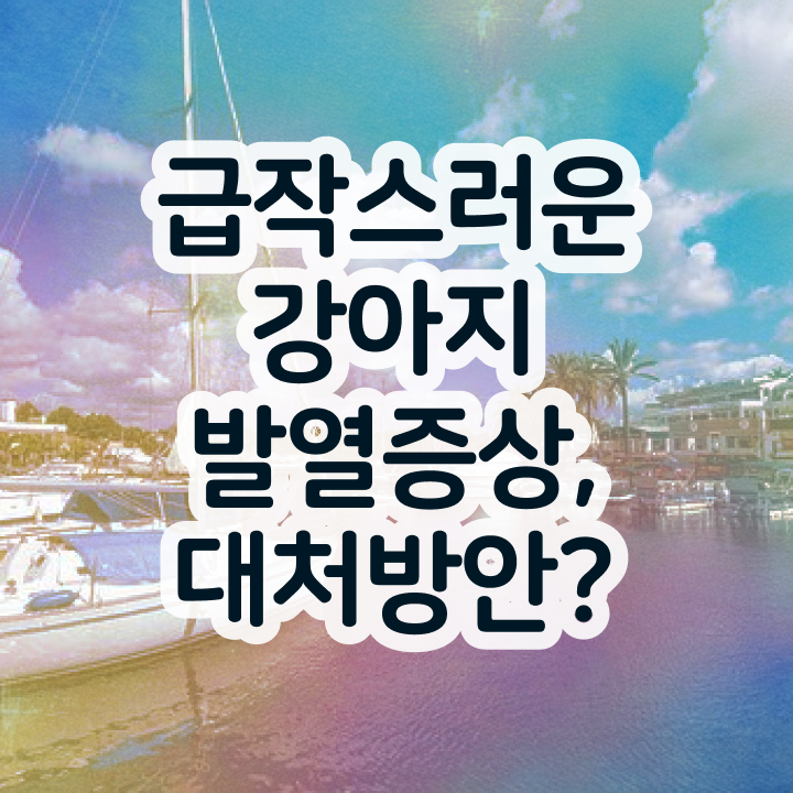  반려동물 등록 외장칩 , 반려동물관리사 자격증 쉽고 간편하게 취득한 노하우 및 취업정보