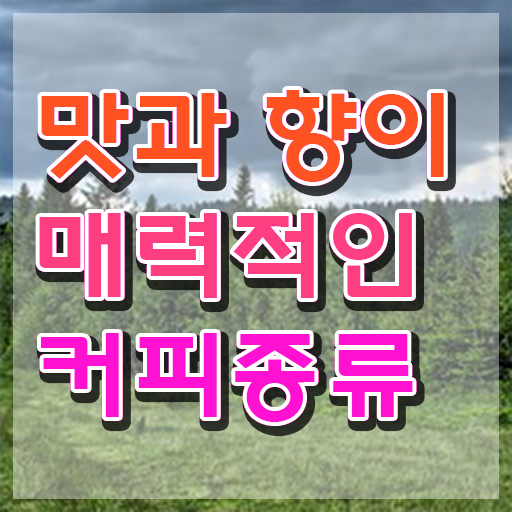  바리스타 학원 , 바리스타 자격증 합격한 비법 총 정리