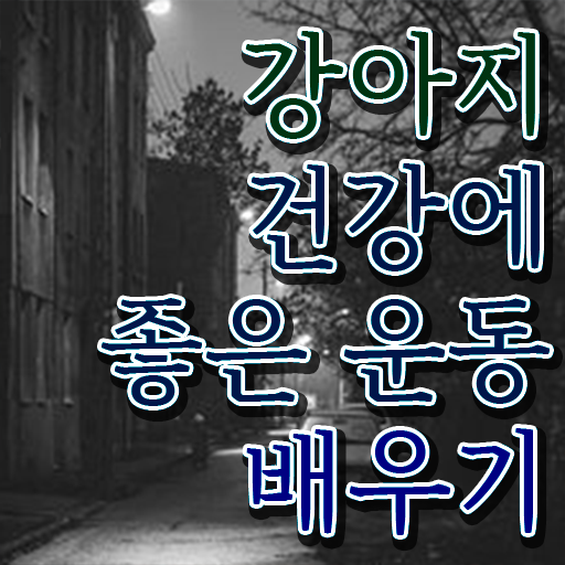  강아지 훈련사 자격증 반려견운동지도사 공부한 방법 및 현황과 채용정보