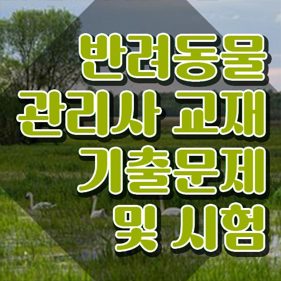  반려동물 순위 , 반려동물관리사 자격증 취득한 방법 보고가세요