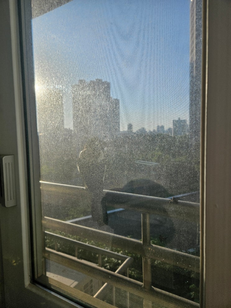 기적의 아침(미라클모닝) : DAY 12