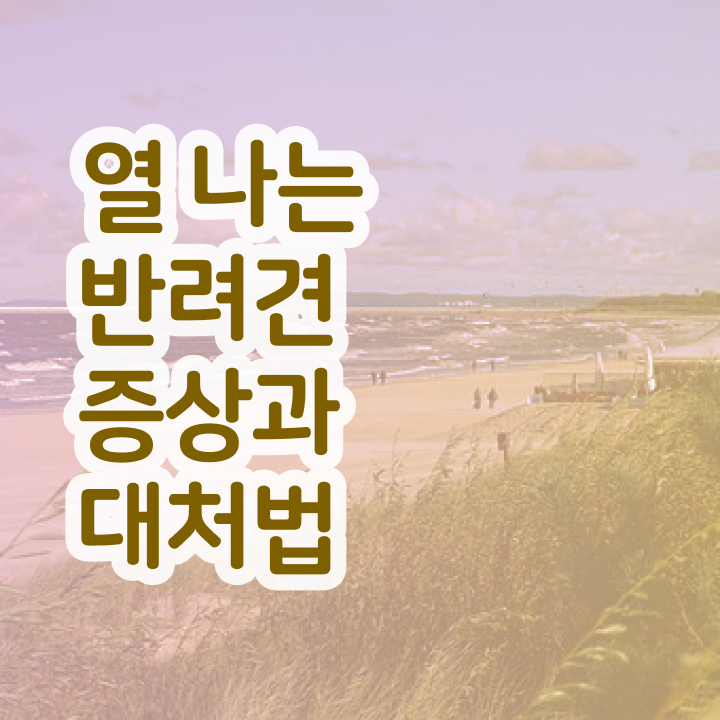  반려동물관리사 , 반려동물관리사 자격증 1급,2급 동시에 합격정보 알아볼게요