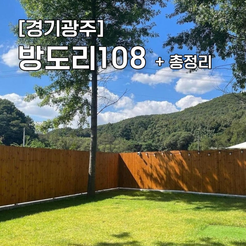 사진 13
