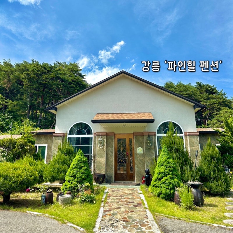 사진 7