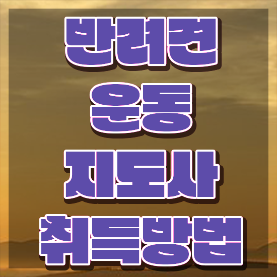  동물관리사 , 반려견운동지도사 쉽고 빠르게 준비 과정 정리했어요