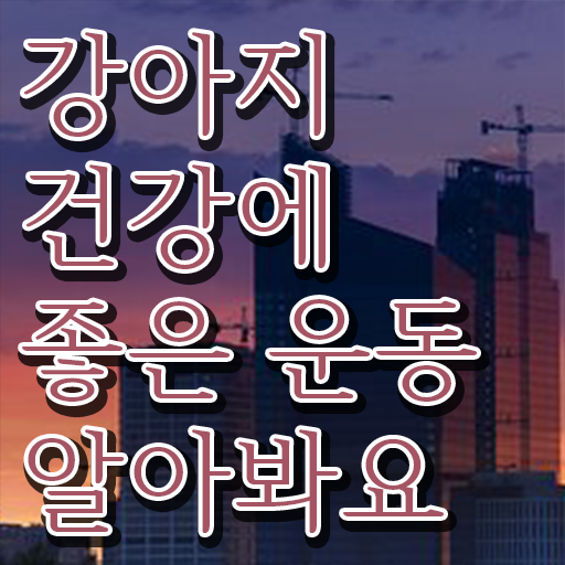  반려견운동지도사 인강 , 반려견운동지도사 취득방법 , 온라인 과정