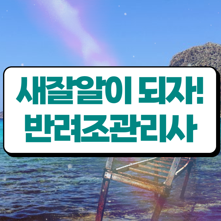 , 반려조관리사 자격증 취득한 방법 알아볼까요