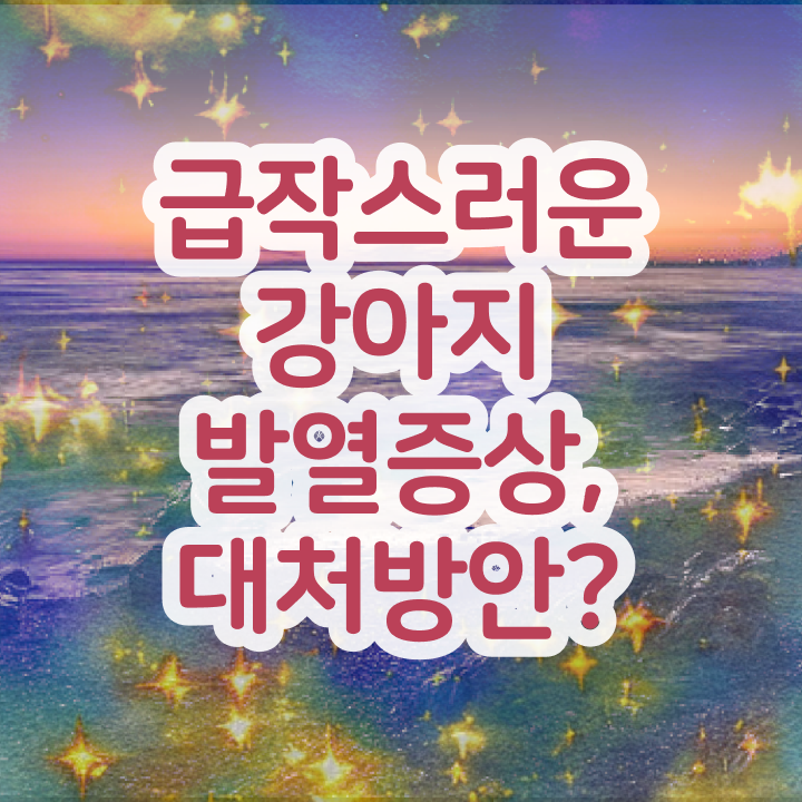  50대취업 , 반려동물관리사 자격증 쉽고 빠르게 취득한 과정 및 활용 방법