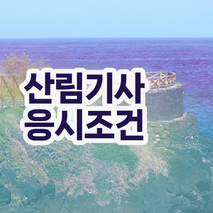  산림기사 학점은행제 산림기사 시험응시자격 인강만 듣고 4개월 만에 성공한 방법